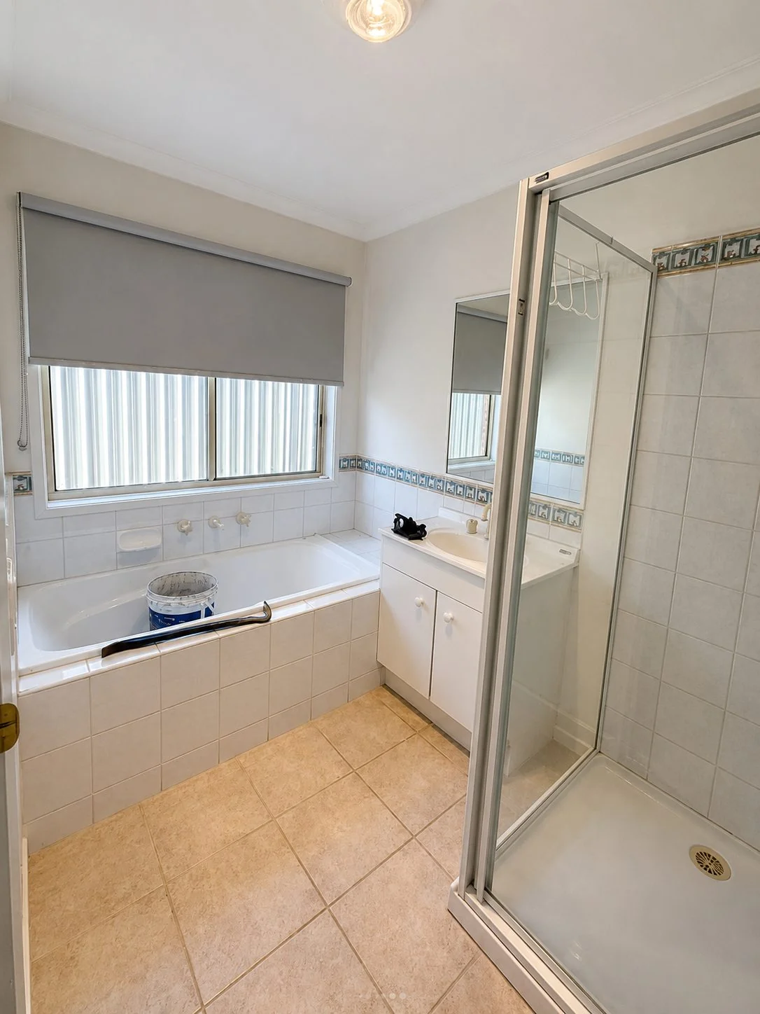 Bathroom before renovation